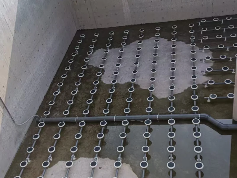 Petrochemical Wastewater Project | China